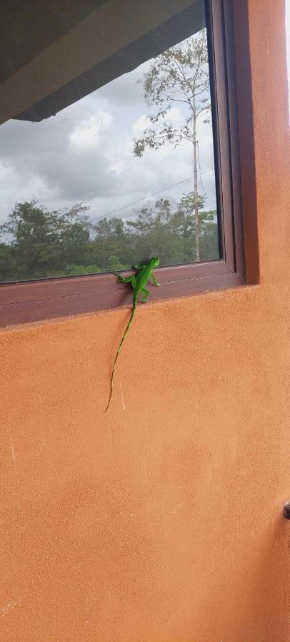 La Fortuna Green Leaf House מראה חיצוני תמונה